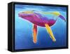 Humpback Whale - Rainbow-Dawgart-Framed Stretched Canvas