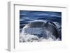 Humpback Whale's Tail Fluke-DLILLC-Framed Photographic Print