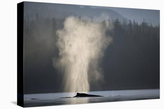 Humpback Whale Spouting in Frederick Sound at Dawn-null-Stretched Canvas