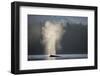 Humpback Whale Spouting in Frederick Sound at Dawn-null-Framed Premium Photographic Print