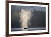 Humpback Whale Spouting in Frederick Sound at Dawn-null-Framed Photographic Print