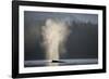 Humpback Whale Spouting in Frederick Sound at Dawn-null-Framed Photographic Print