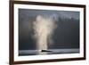 Humpback Whale Spouting in Frederick Sound at Dawn-null-Framed Photographic Print