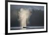 Humpback Whale Spouting in Frederick Sound at Dawn-null-Framed Photographic Print