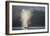 Humpback Whale Spouting in Frederick Sound at Dawn-null-Framed Photographic Print