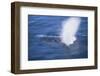 Humpback Whale Spraying Sea Water-DLILLC-Framed Photographic Print