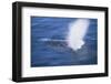 Humpback Whale Spraying Sea Water-DLILLC-Framed Photographic Print