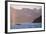 Humpback Whale Surfacing in Aialik Bay-null-Framed Photographic Print