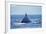 Humpback Whale Surfacing in Frederick Sound-Paul Souders-Framed Photographic Print