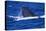 Humpback Whale Surfacing in the Ocean-DLILLC-Stretched Canvas