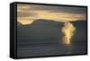 Humpback Whale Surfacing-Paul Souders-Framed Stretched Canvas