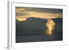 Humpback Whale Surfacing-Paul Souders-Framed Photographic Print