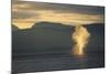 Humpback Whale Surfacing-Paul Souders-Mounted Photographic Print