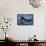 Humpback Whale, Svalbard, Norway-Françoise Gaujour-Framed Stretched Canvas displayed on a wall