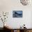 Humpback Whale, Svalbard, Norway-Françoise Gaujour-Stretched Canvas displayed on a wall