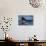 Humpback Whale, Svalbard, Norway-Françoise Gaujour-Photographic Print displayed on a wall