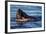 Humpback Whale, Svalbard, Norway-Françoise Gaujour-Framed Photographic Print