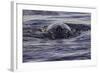 Humpback Whale, Svalbard, Norway-Françoise Gaujour-Framed Photographic Print