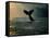 Humpback Whale Tail at Sunset-Stuart Westmorland-Framed Stretched Canvas