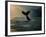 Humpback Whale Tail at Sunset-Stuart Westmorland-Framed Photographic Print