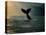 Humpback Whale Tail at Sunset-Stuart Westmorland-Stretched Canvas