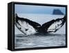 Humpback Whale Tail While Diving in Frederick Sound, Tongass National Forest, Alaska, Usa-Paul Souders-Framed Stretched Canvas