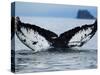 Humpback Whale Tail While Diving in Frederick Sound, Tongass National Forest, Alaska, Usa-Paul Souders-Stretched Canvas