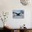 Humpback Whale Tail While Diving in Frederick Sound, Tongass National Forest, Alaska, Usa-Paul Souders-Stretched Canvas displayed on a wall