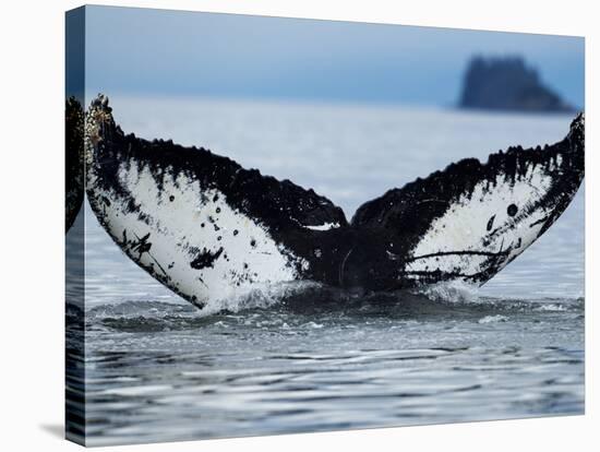 Humpback Whale Tail While Diving in Frederick Sound, Tongass National Forest, Alaska, Usa-Paul Souders-Stretched Canvas