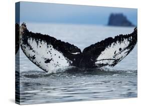 Humpback Whale Tail While Diving in Frederick Sound, Tongass National Forest, Alaska, Usa-Paul Souders-Stretched Canvas