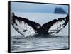 Humpback Whale Tail While Diving in Frederick Sound, Tongass National Forest, Alaska, Usa-Paul Souders-Framed Stretched Canvas