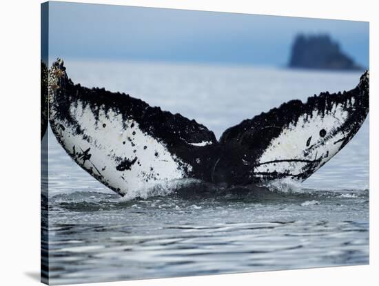 Humpback Whale Tail While Diving in Frederick Sound, Tongass National Forest, Alaska, Usa-Paul Souders-Stretched Canvas