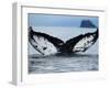 Humpback Whale Tail While Diving in Frederick Sound, Tongass National Forest, Alaska, Usa-Paul Souders-Framed Premium Photographic Print