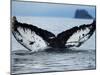 Humpback Whale Tail While Diving in Frederick Sound, Tongass National Forest, Alaska, Usa-Paul Souders-Mounted Premium Photographic Print