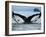 Humpback Whale Tail While Diving in Frederick Sound, Tongass National Forest, Alaska, Usa-Paul Souders-Framed Photographic Print