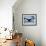 Humpback Whale Tail While Diving in Frederick Sound, Tongass National Forest, Alaska, Usa-Paul Souders-Framed Photographic Print displayed on a wall