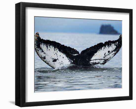 Humpback Whale Tail While Diving in Frederick Sound, Tongass National Forest, Alaska, Usa-Paul Souders-Framed Photographic Print