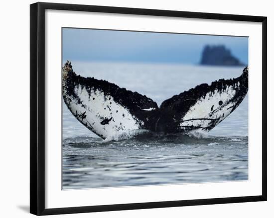 Humpback Whale Tail While Diving in Frederick Sound, Tongass National Forest, Alaska, Usa-Paul Souders-Framed Photographic Print