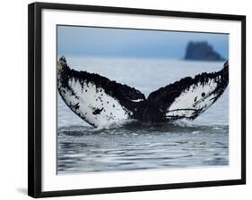 Humpback Whale Tail While Diving in Frederick Sound, Tongass National Forest, Alaska, Usa-Paul Souders-Framed Photographic Print