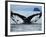 Humpback Whale Tail While Diving in Frederick Sound, Tongass National Forest, Alaska, Usa-Paul Souders-Framed Photographic Print