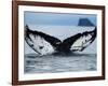 Humpback Whale Tail While Diving in Frederick Sound, Tongass National Forest, Alaska, Usa-Paul Souders-Framed Photographic Print