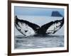 Humpback Whale Tail While Diving in Frederick Sound, Tongass National Forest, Alaska, Usa-Paul Souders-Framed Photographic Print