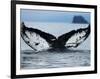 Humpback Whale Tail While Diving in Frederick Sound, Tongass National Forest, Alaska, Usa-Paul Souders-Framed Photographic Print