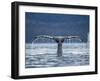 Humpback Whale Tail While Diving in Frederick Sound, Tongass National Forest, Alaska, Usa-Paul Souders-Framed Premium Photographic Print