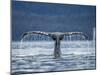 Humpback Whale Tail While Diving in Frederick Sound, Tongass National Forest, Alaska, Usa-Paul Souders-Mounted Photographic Print
