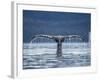 Humpback Whale Tail While Diving in Frederick Sound, Tongass National Forest, Alaska, Usa-Paul Souders-Framed Photographic Print