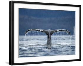 Humpback Whale Tail While Diving in Frederick Sound, Tongass National Forest, Alaska, Usa-Paul Souders-Framed Photographic Print