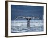 Humpback Whale Tail While Diving in Frederick Sound, Tongass National Forest, Alaska, Usa-Paul Souders-Framed Photographic Print