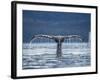 Humpback Whale Tail While Diving in Frederick Sound, Tongass National Forest, Alaska, Usa-Paul Souders-Framed Photographic Print