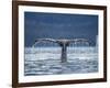 Humpback Whale Tail While Diving in Frederick Sound, Tongass National Forest, Alaska, Usa-Paul Souders-Framed Photographic Print